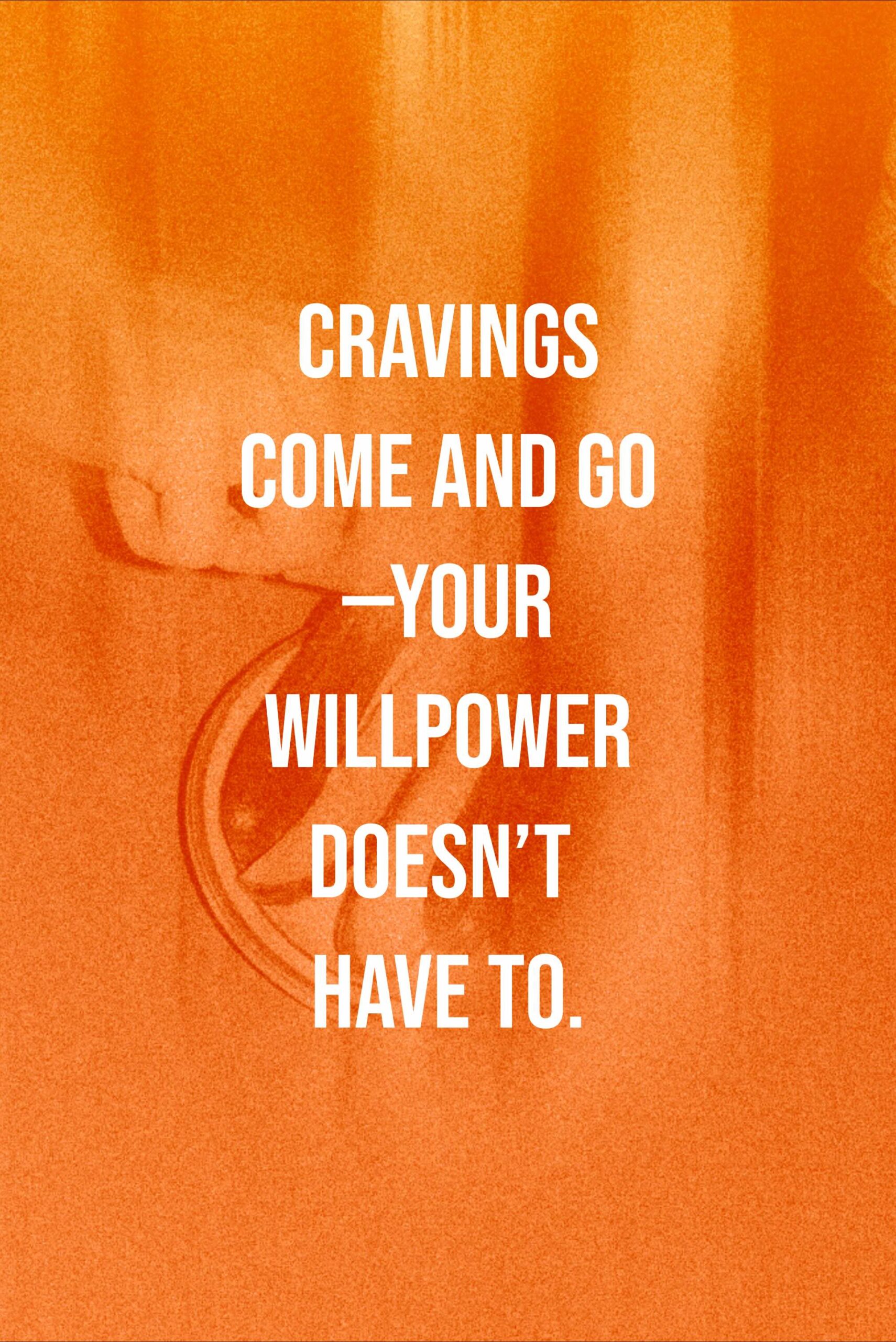 פאץ׳ קרייב קונטרול לשליטה בחשקים - Crave Control - Image 4