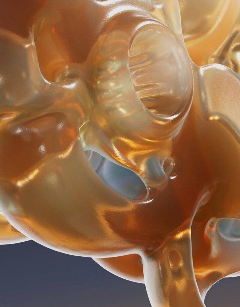 1.WHAT'S IN IT-N-ACETYL CARNITINE