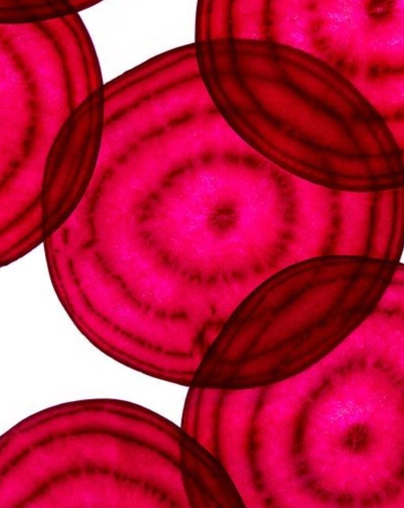 3.WHAT_S IN IT-BEETROOT EXTRACT