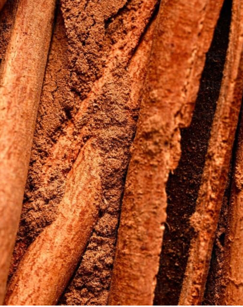 WHAT_S IN IT-cinnamon Extract