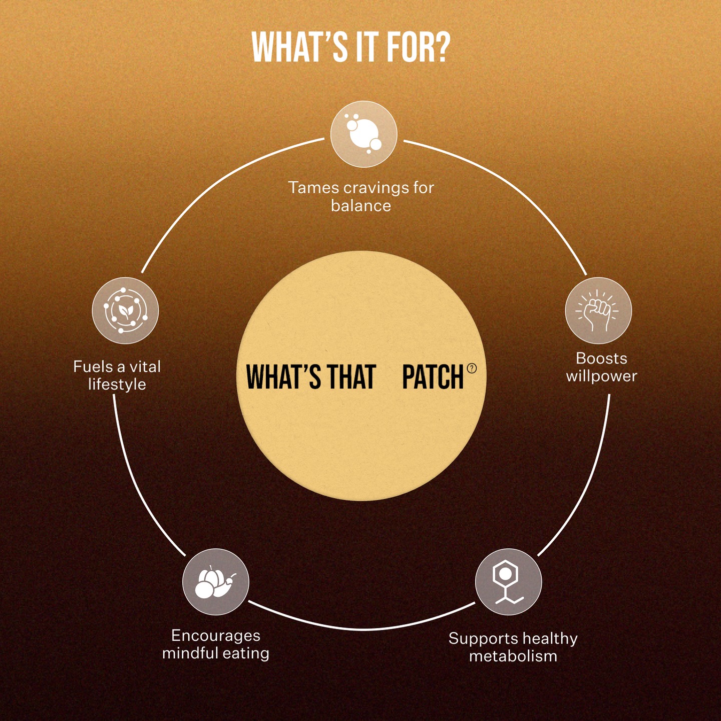 wellness bound featues