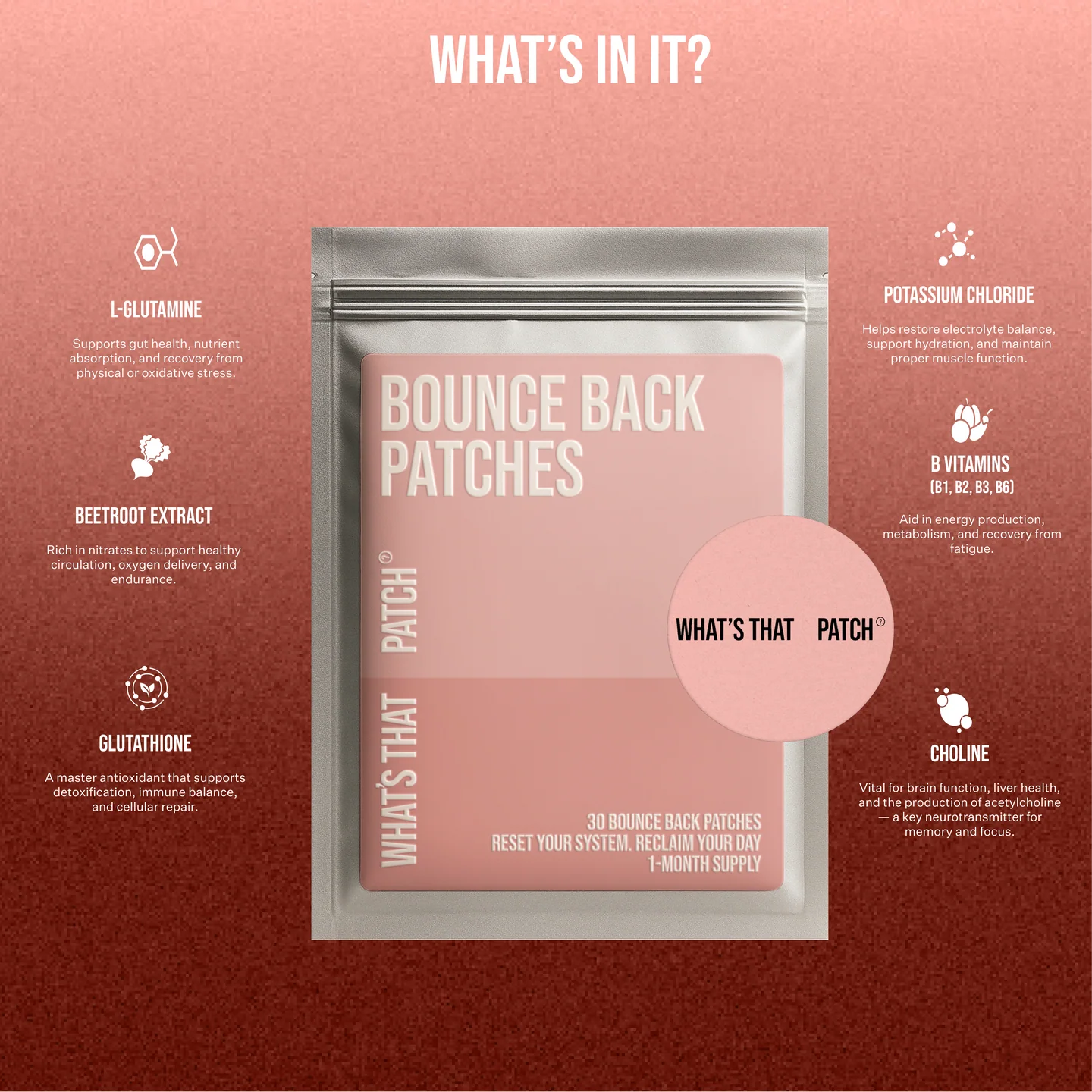 BOUNCEBACK_INGREDIENTS